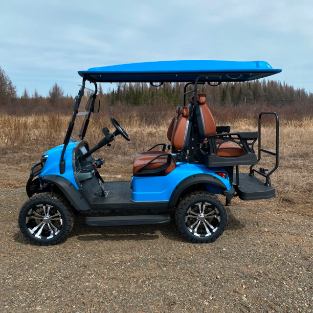 4-seater Golf Cart in Golf in Thunder Bay - Image 2