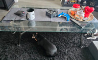 Glass coffee table with black legs