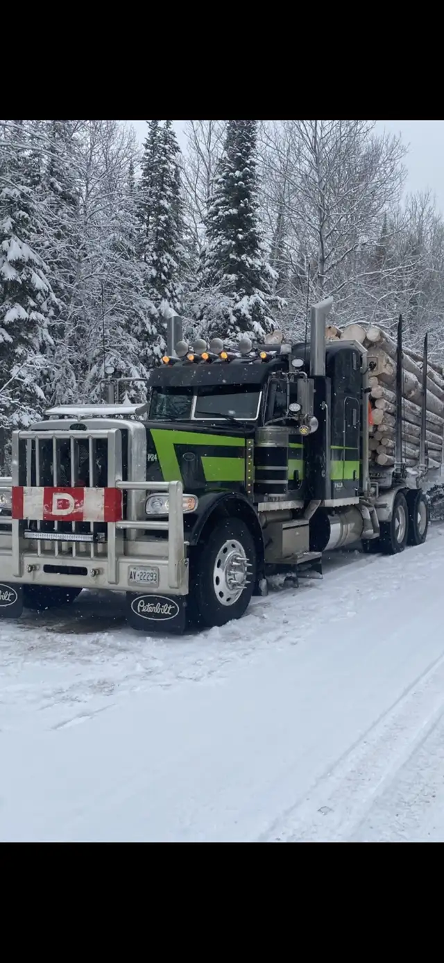 2022 Peterbilt  in Heavy Trucks in Thunder Bay - Image 8