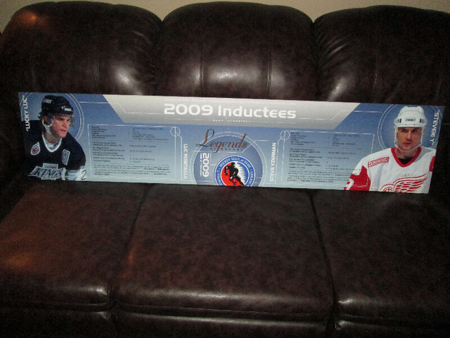 Steve Yzerman Hockey Hall of Fame Display Header - 1 Only in Arts & Collectibles in Mississauga / Peel Region
