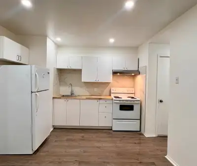 Beau 4 1/2 renové à Verdun
