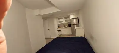 Newly renovated studio apartment. Includes small kitchenette, bathroom, shower, closet. All utilitie...