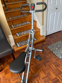 Sunny Health & Fitness Upright Row-N-Ride Rowing Machine