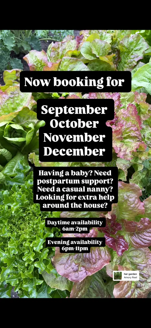 Nanny / Postpartum Doula 
