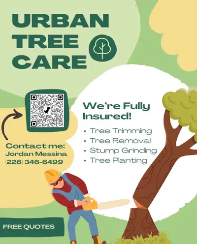 TREE REMOVAL/TRIMMING, View more