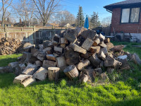 Maple firewood 