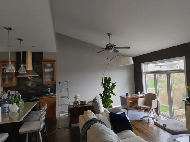 Professional painter for hire.64722633709955124