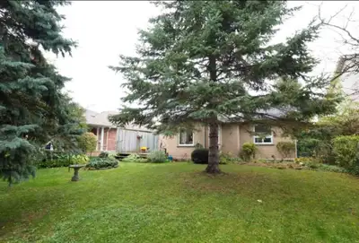 Newly renovated detached house rental