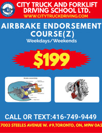 $199(Holiday Special/Airbrake Course)