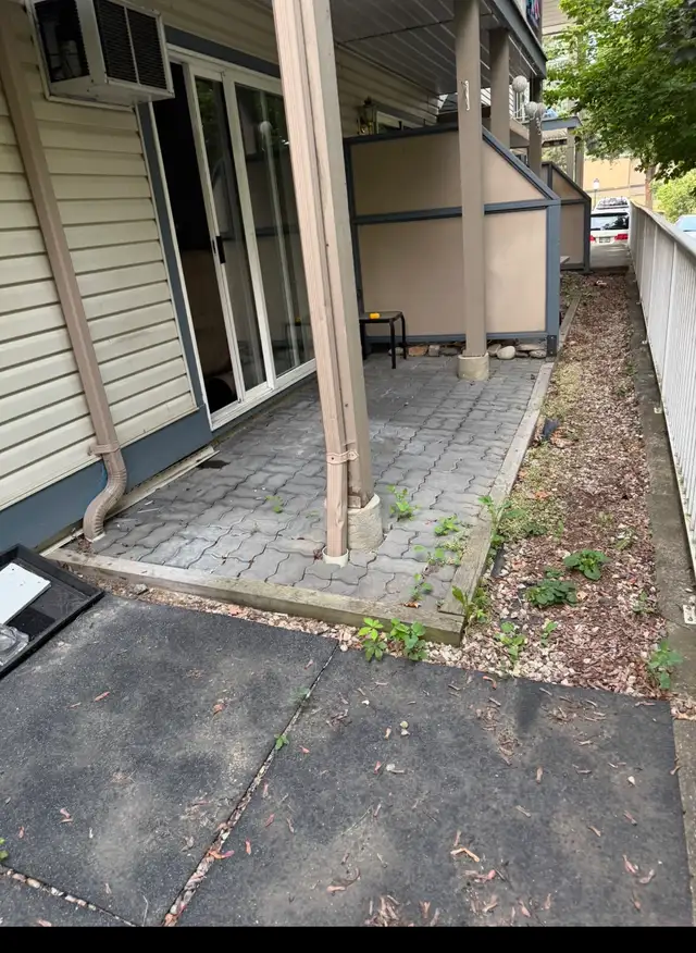 Salmon arm rental Nov 1st  in Long Term Rentals in Kamloops - Image 3