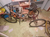 Adult tricycle 150obo