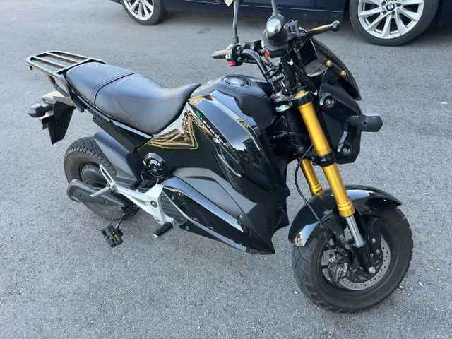 Eevader Electric Bike in eBike in Brantford - Image 3