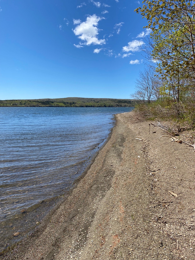 60 acres for sale over looking lake ainslie Cape Breton Island Land