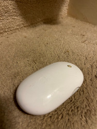Wireless Mighty Mouse 