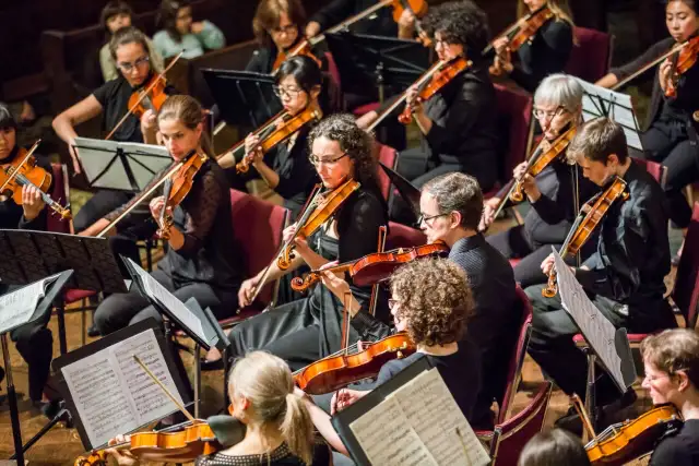 Violin/Music Theory Lessons