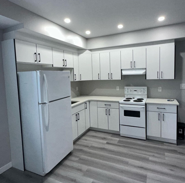 Kitchen Cabinets  in Other in Winnipeg - Image 3