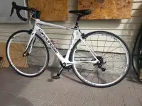 Cannondale Synapse Carbon fibre road bike 51 cm frame.