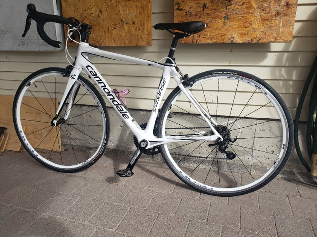 Cannondale Synapse Carbon fibre road bike 51 cm frame. in Road in Vernon