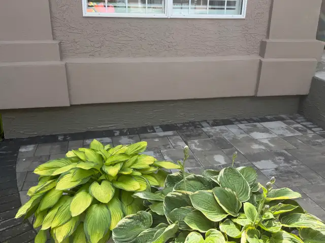 Pristine Stucco Services557928367565066246