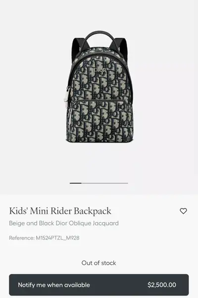Dior mini backpack, View more