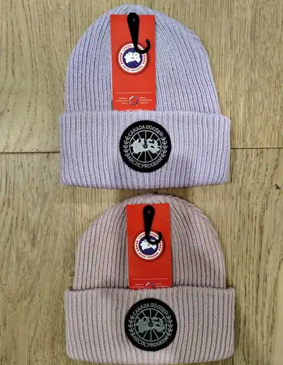 Canada goose , View more