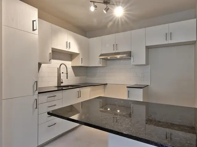 4 1/2 Style-Condo rénové à aire ouverte Verdun - Février