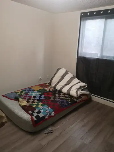 Seeking roommate for 2-3 months, available immediately, must be working or going to school, damage d...