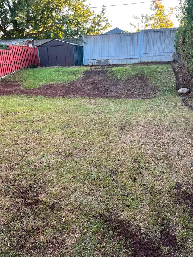 Landscaping & Junk Removal62863721646979121