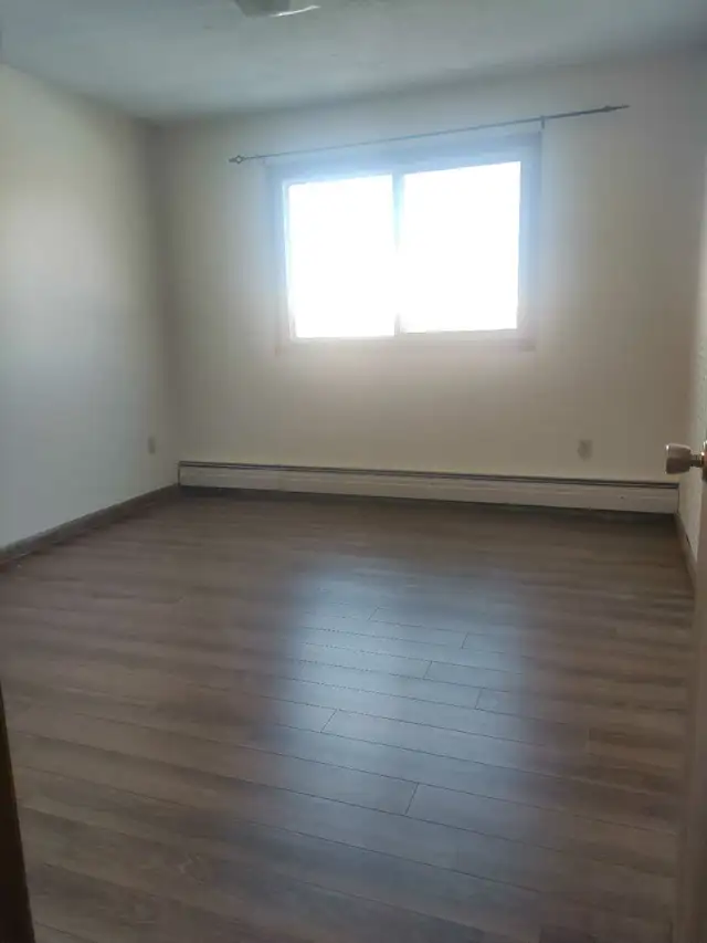 Female roommate Wanted – private room in 2B1b Apartment