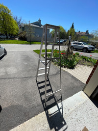 Aluminum ladder (6 feet)