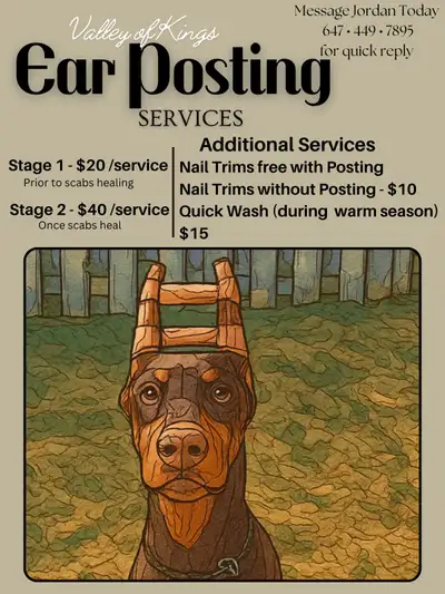 Ear Posting Services (Dobermans & other cropped breeds), View more