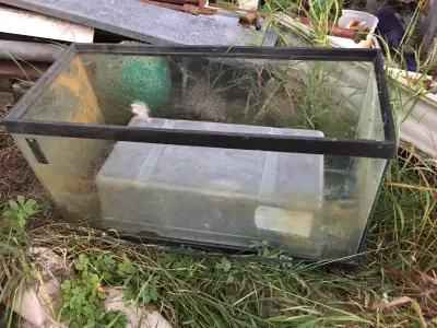 This is a used 10-gallon aquarium, perfect for a small setup. It has some signs of use, as you can s...