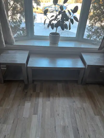 Very gently used. Bought them new 1 year ago. Moving soon and don’t need them anymore. $80