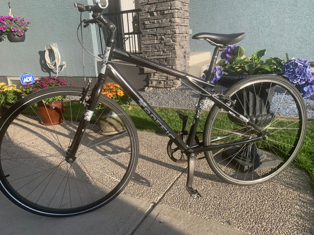 fixie gt