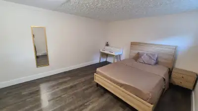 Chambre à louer / Room to rent 700$