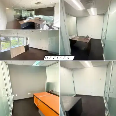 Professional Painter Quality Service , View more