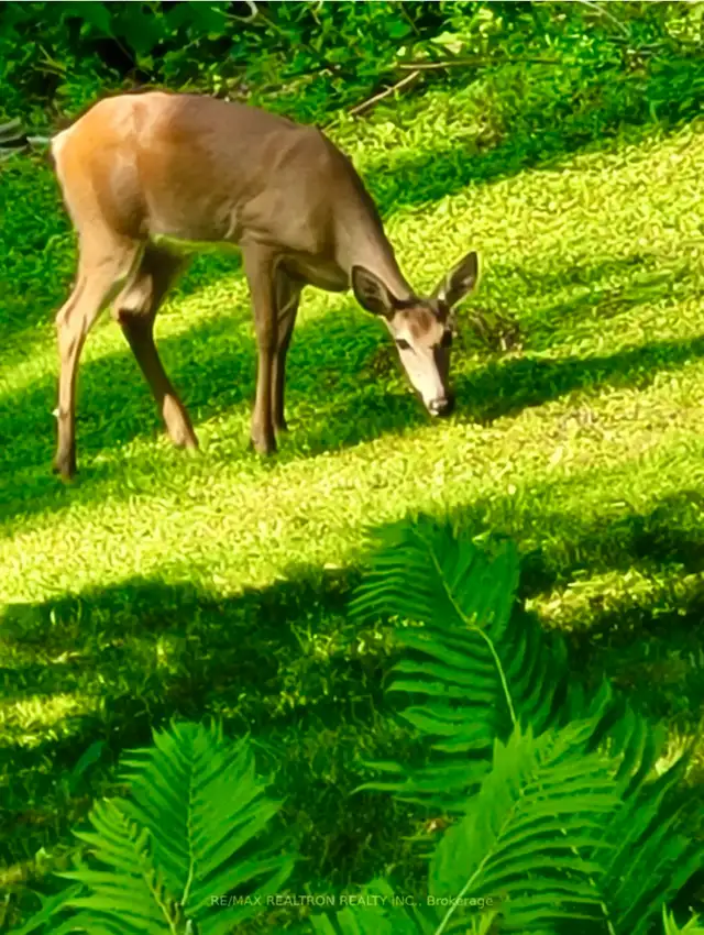 68 Havenwood Way London ON