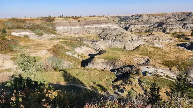 new friends 64966066520579120