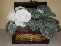 Floral Arrangement in a Wooden Display Chest