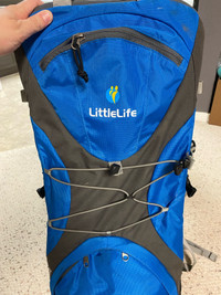 Little life baby carrier 