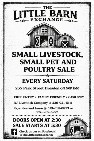 Livestock Auction, View more
