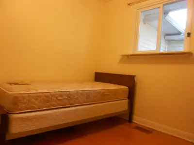 Room near Algonquin College