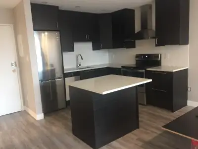 AVAILABLE NOW - Renovated 2 Bedroom in Mount Plesant Vancouver