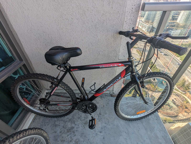 Couples Bikes $90 each in Road in Mississauga / Peel Region - Image 4