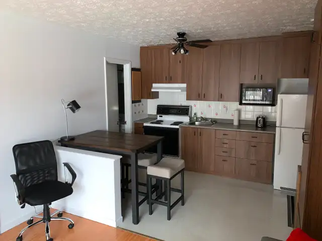 3-1/2 semi meublé, Libre le 1er avril 2026