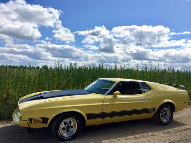 MACH 1 MUSTANG FULLY RESTORED in Classic Cars in Kitchener / Waterloo - Image 4