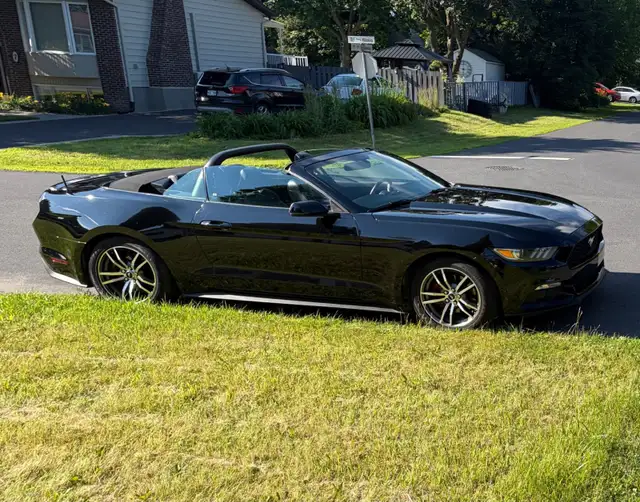 2015 Mustang for Sale