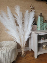 115cm very long natural white pampas grass