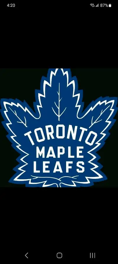 Single 53yr old leafs fan looking for other fans who wanna chat or hangout
