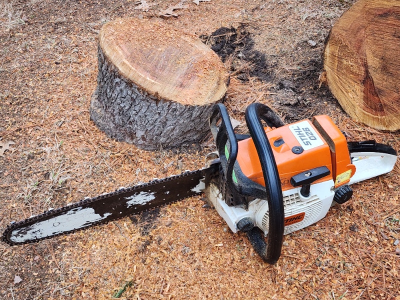 Stihl 026 Chain Saw 16" Bar Similar to MS 260 With New Chain Other